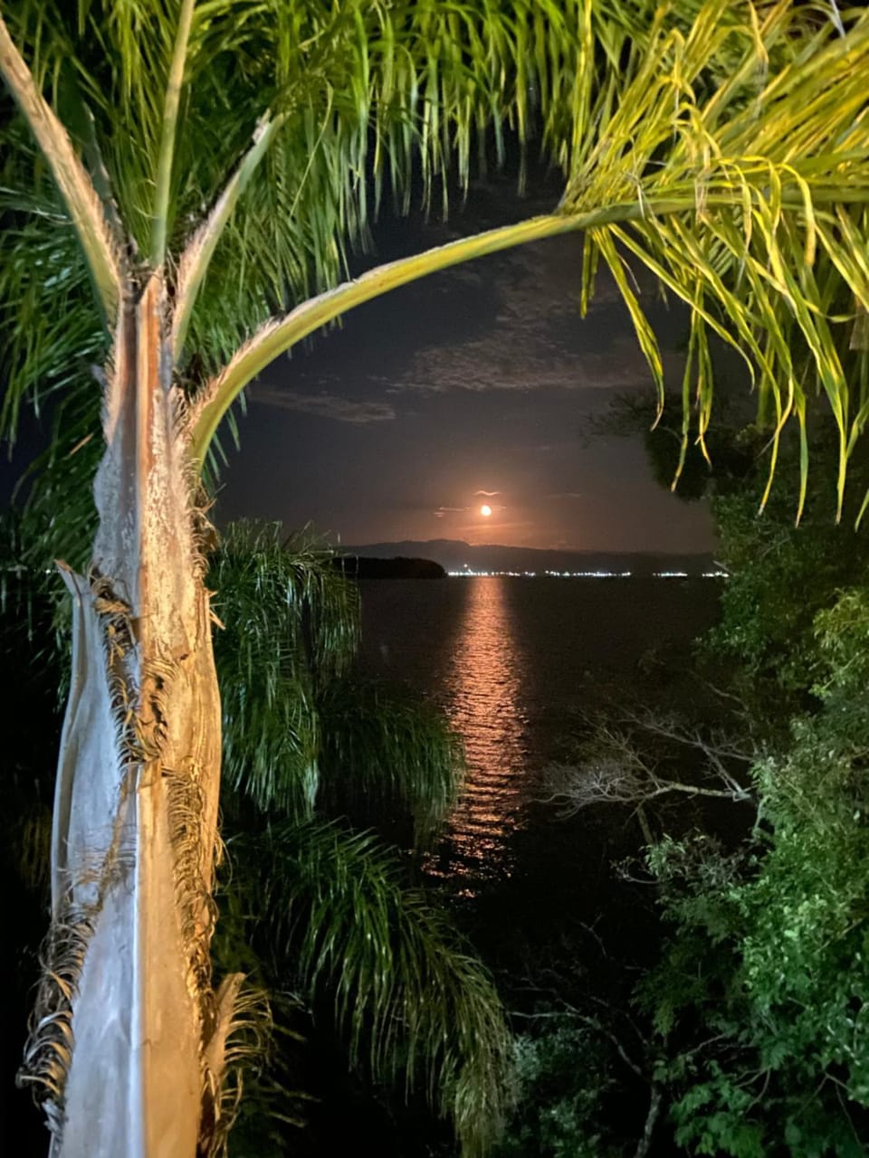 Villa Sambaqui com piscina coberta privativa, vista e acesso ao mar Villa in Florianopolis