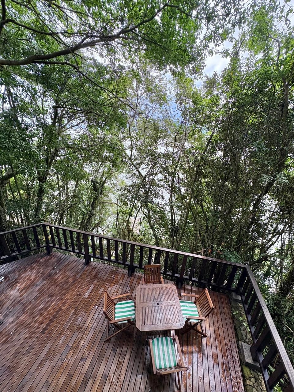 Garden, Balcony/Terrace