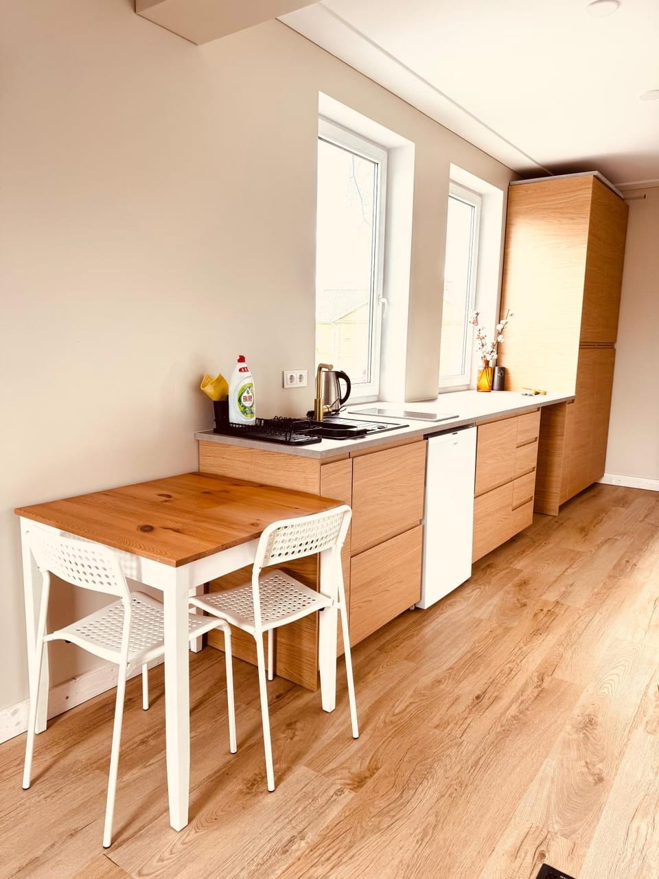 Greenhill Apartment in Lithuania