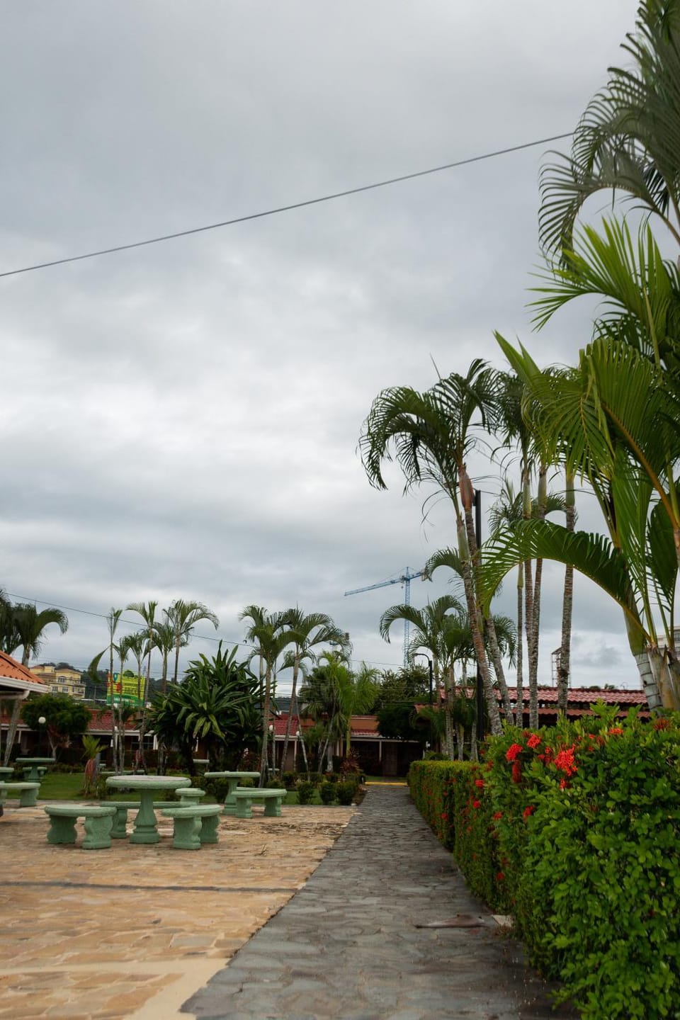 Garden view