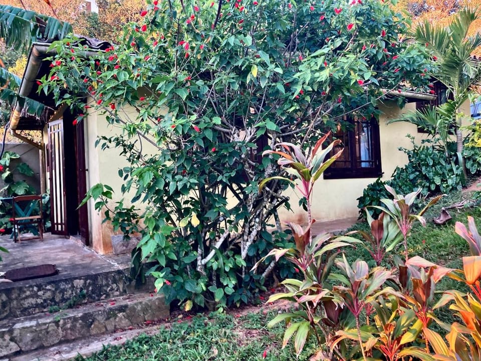 Property building, Balcony/Terrace