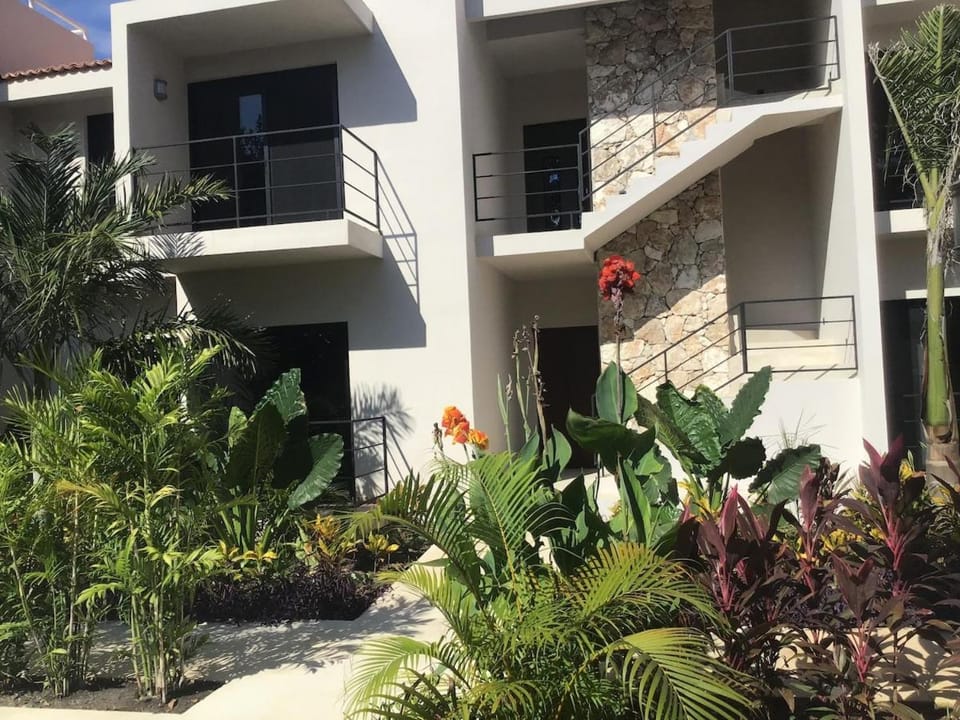 Property building, Garden view