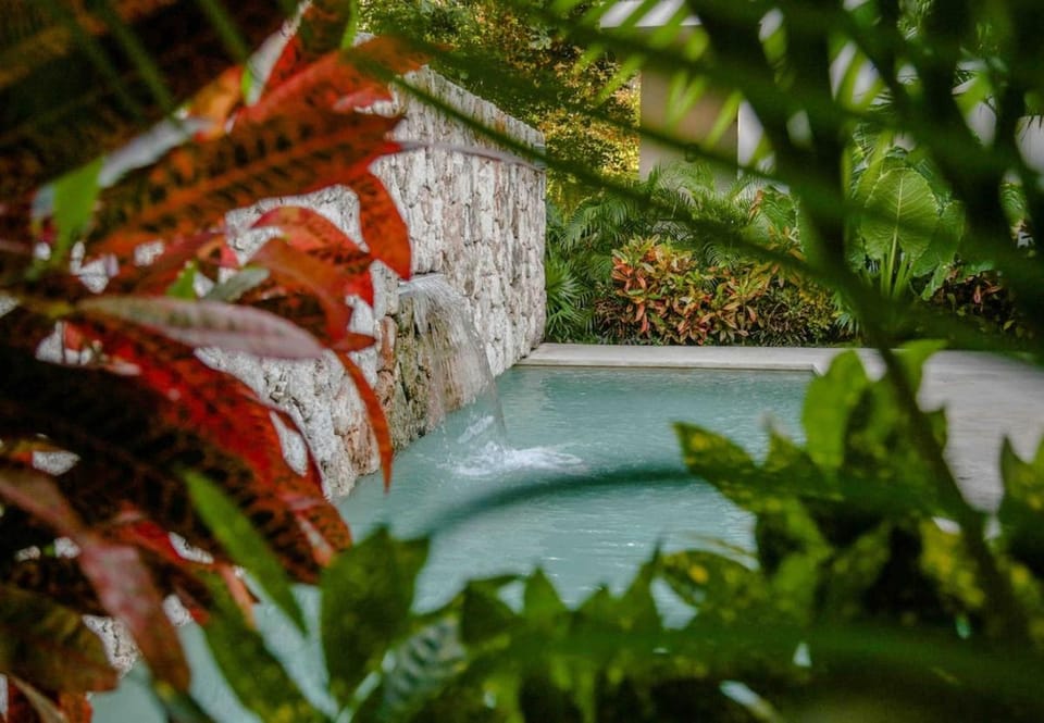 Garden, Pool view