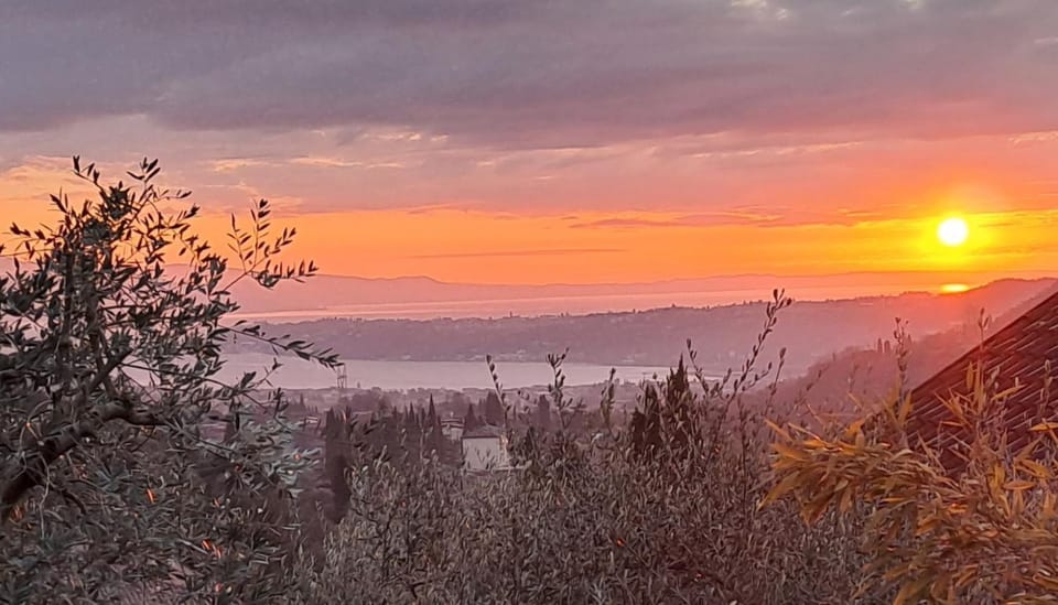Natural landscape, Lake view, Sunset