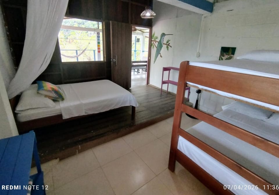 Bed, Photo of the whole room, Bedroom, bunk bed