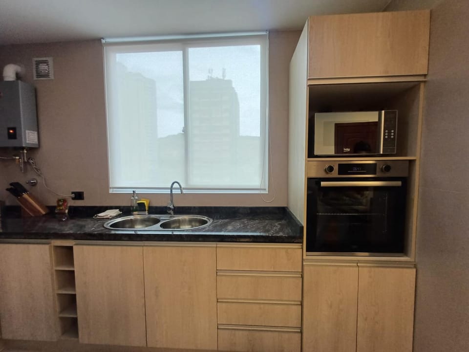 Kitchen or kitchenette, dishwasher