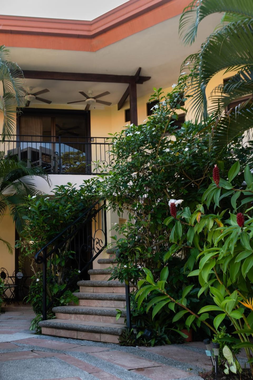 Balcony/Terrace, Garden view