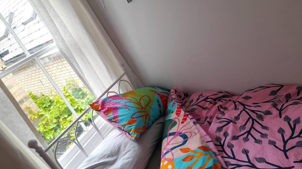 Lovely artist's home ecently refurbished Apartment in Cambridge
