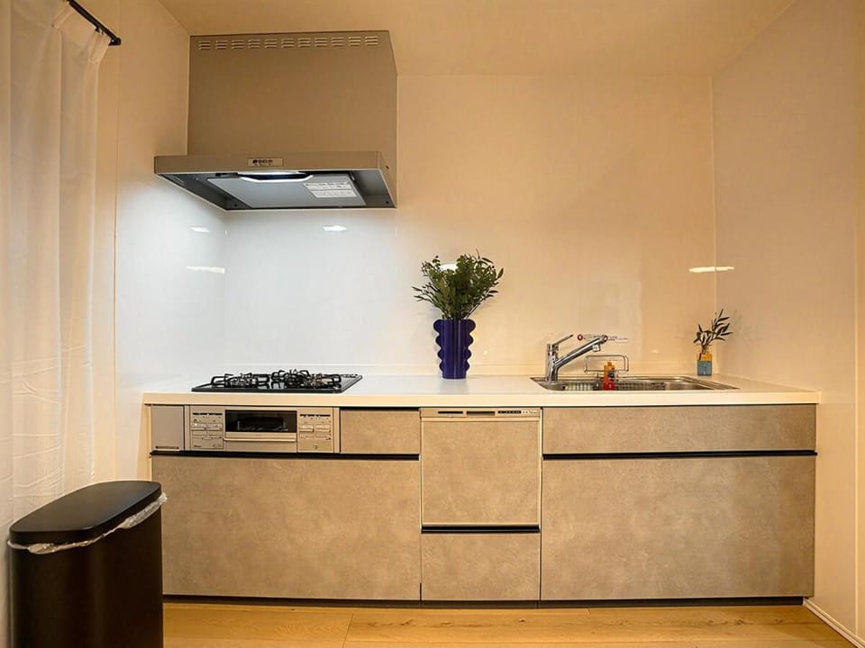 Kitchen or kitchenette, oven, stove