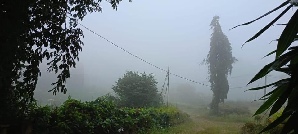 Valley De Hills Villa Room Farm Stay in Kerala