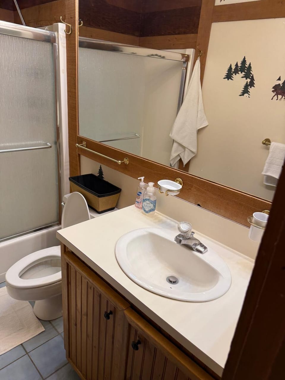 Shower, Toilet, Bathroom, Bath, towels