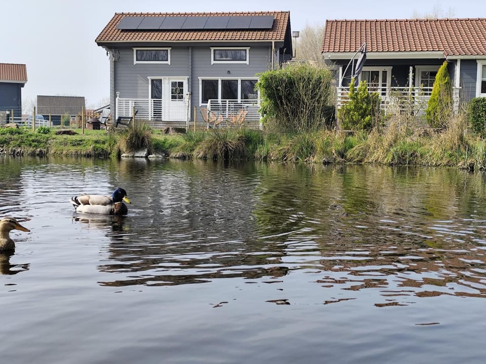 Cottage relaxant au bord de l'eau Chalet in Hauts-de-France