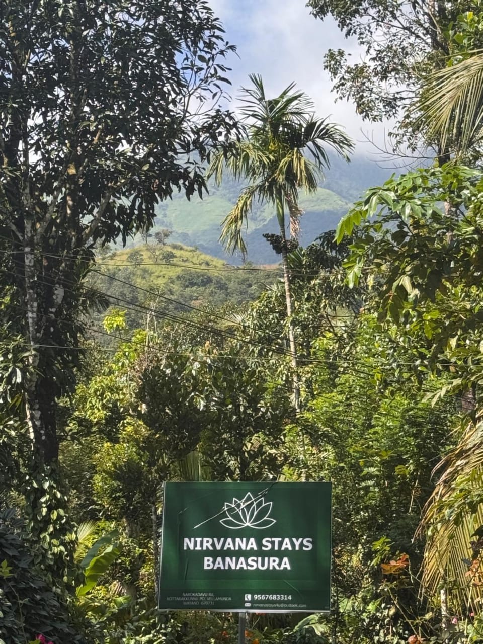 Nirvana Stays Banasura -Lotus House in Kerala