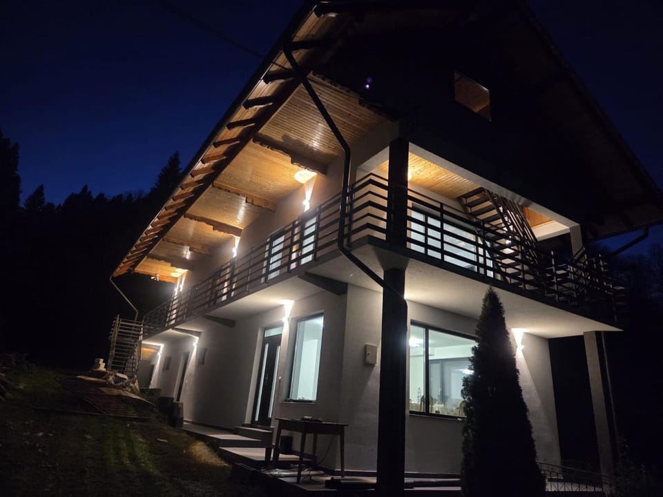 Pensiunea Dariana Bed and Breakfast in Romania