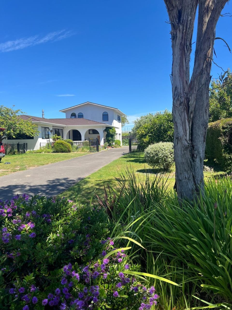 Property building, Garden