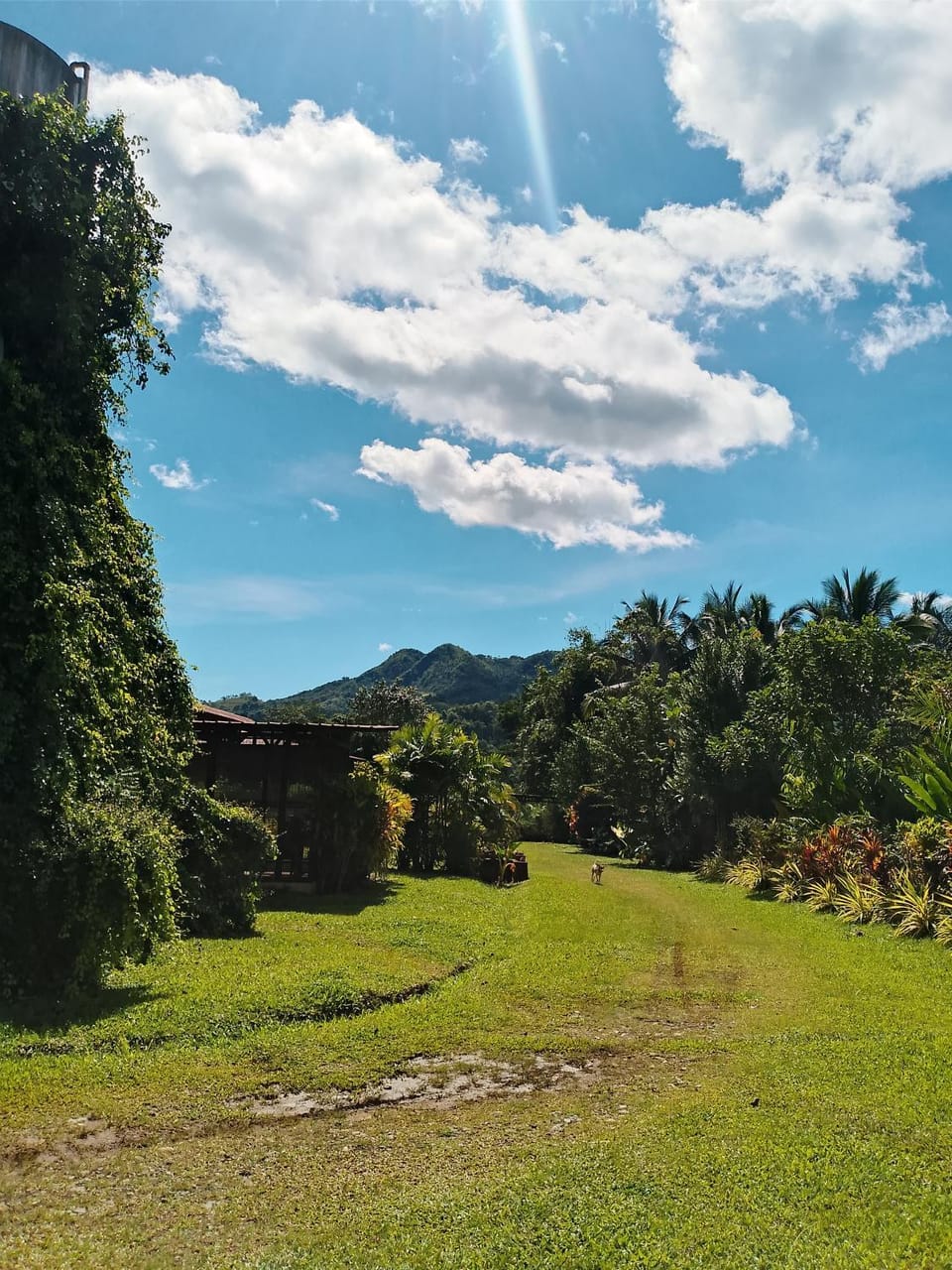 Melchors Integrated Farm Farm Stay in Northern Mindanao