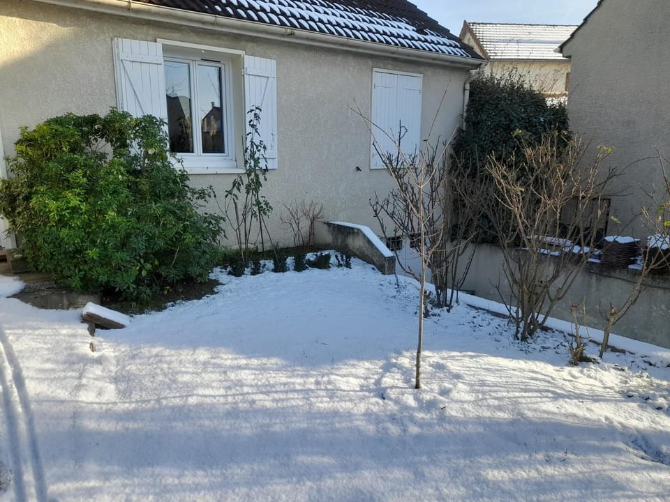 Winter