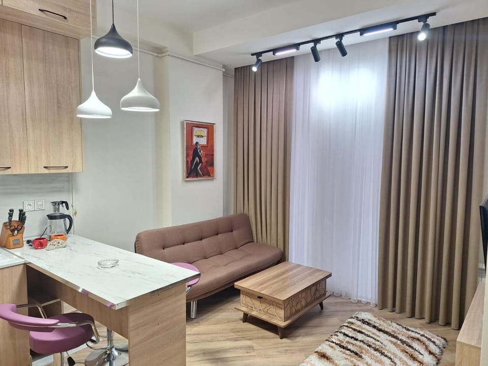 2-х комнатные апартаменты Apartment in Baku