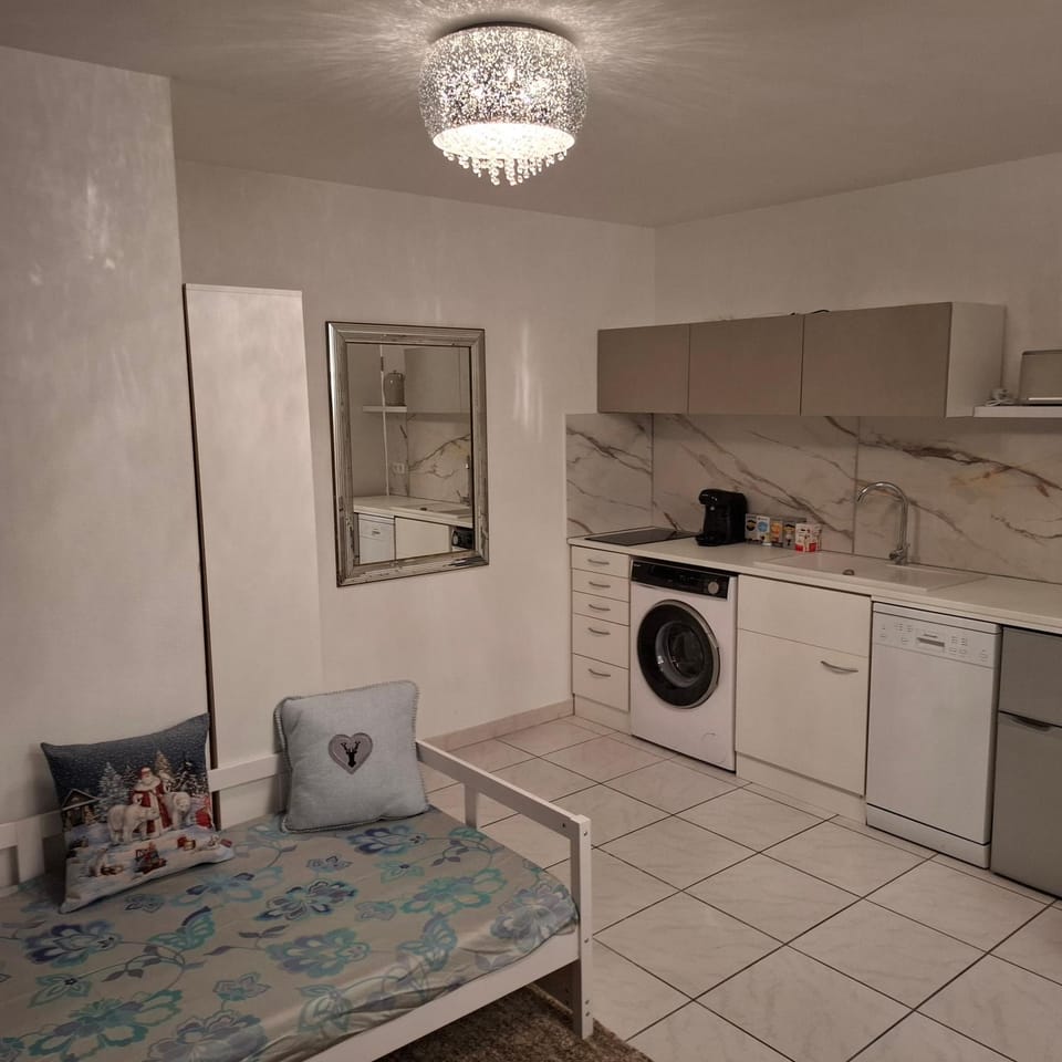 Kitchen or kitchenette, Photo of the whole room