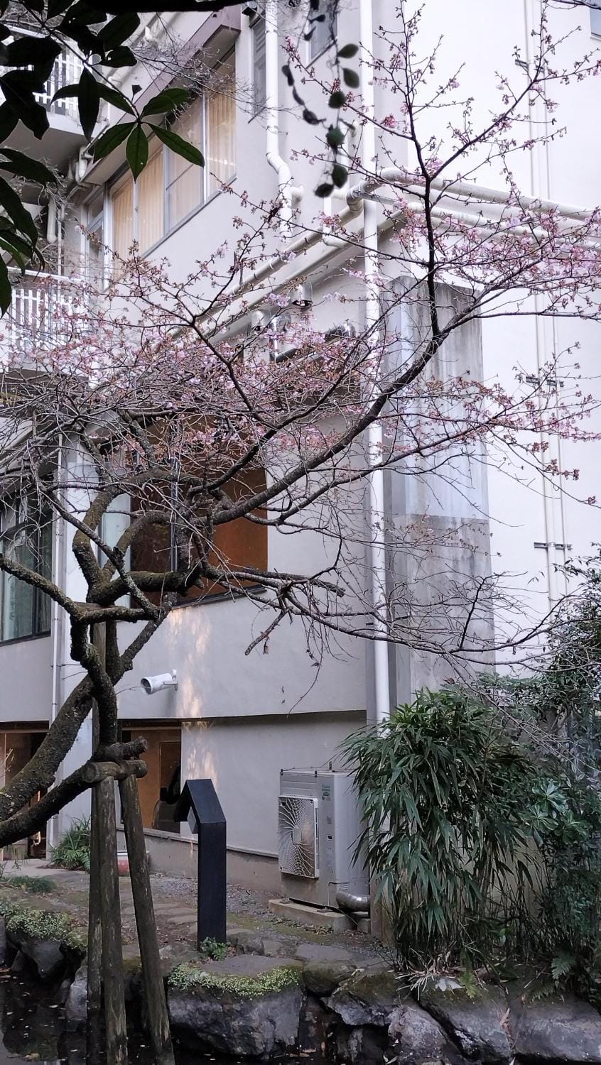 湯河原 Apartment in Shizuoka Prefecture