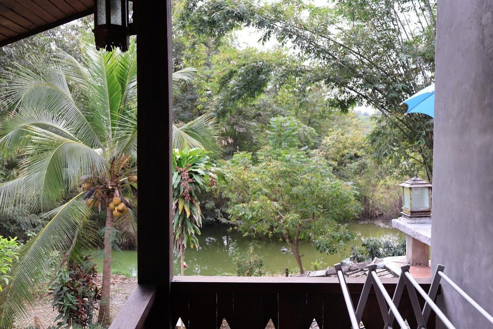 Day, Natural landscape, Garden view