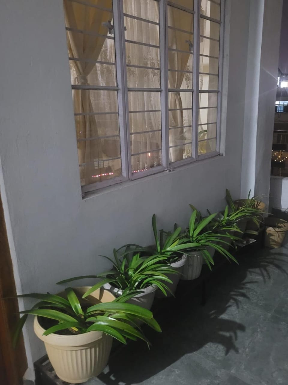 Bed and Breakfast Bed and Breakfast in Bangladesh