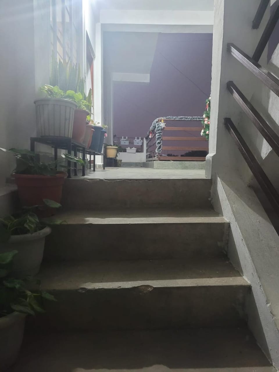 Bed and Breakfast Bed and Breakfast in Bangladesh