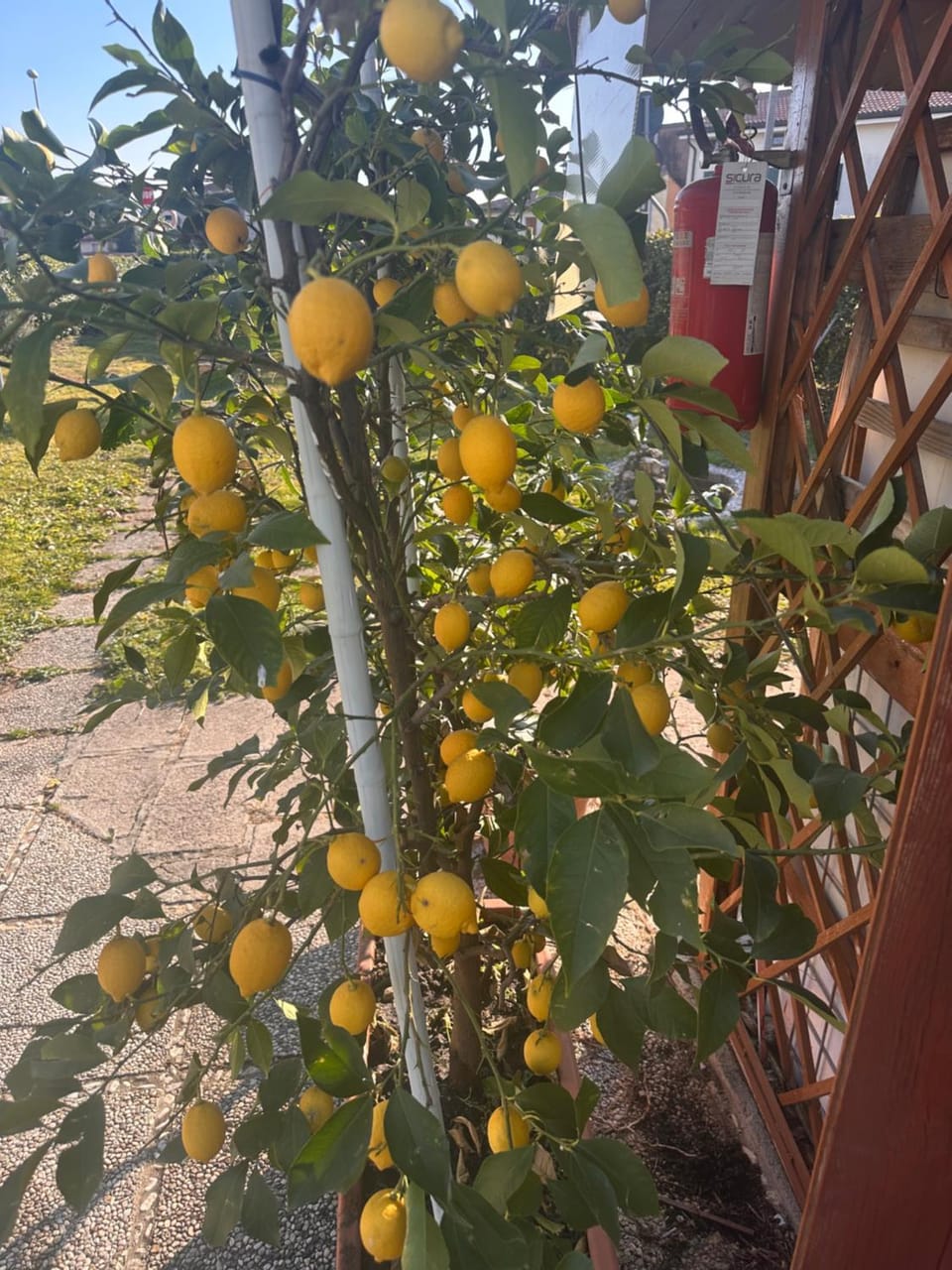 Lemon house Bed and Breakfast in Veneto
