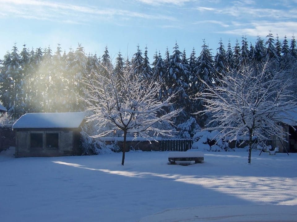 Winter, Garden view