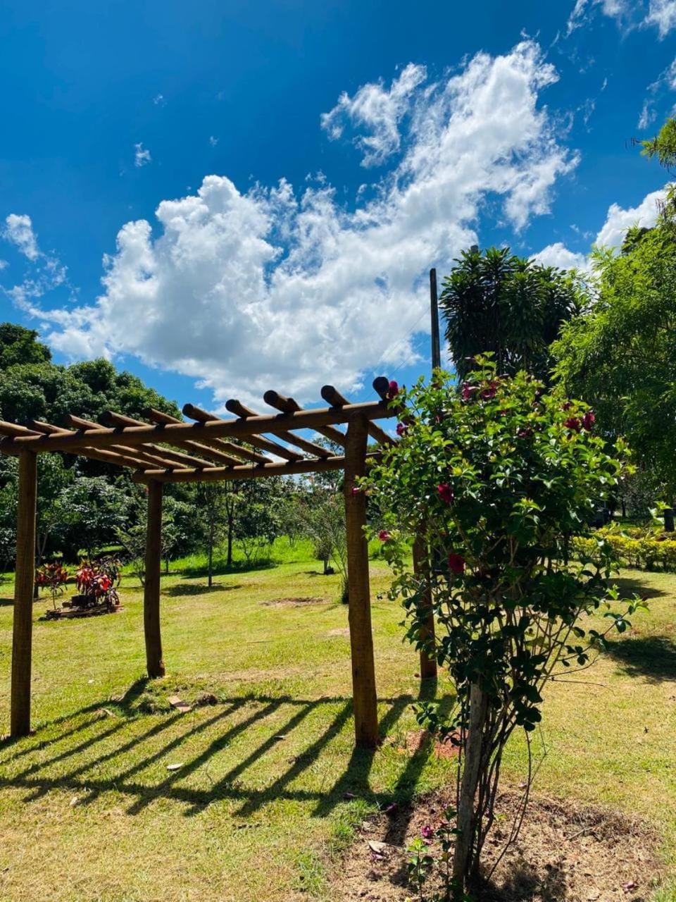 Casa Das Flores Piri Bed and Breakfast in Pirenópolis