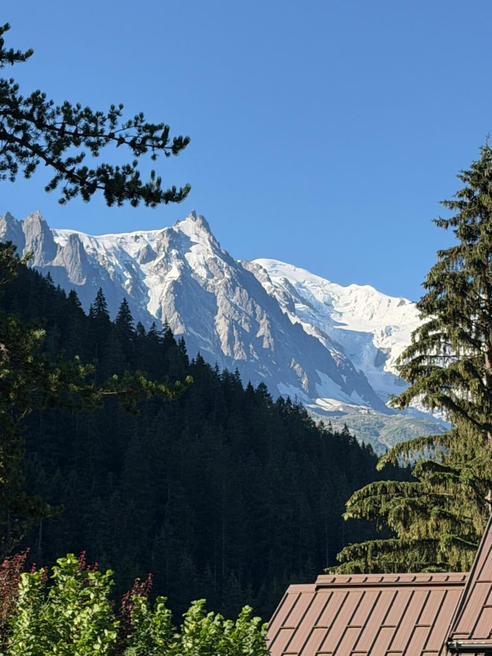 Apartment 7p Balcony Mountain View Parking Ski Apartment in Chamonix