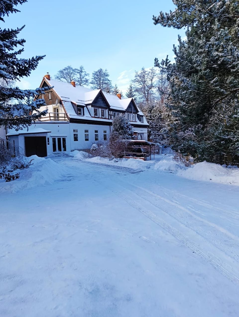 Winter