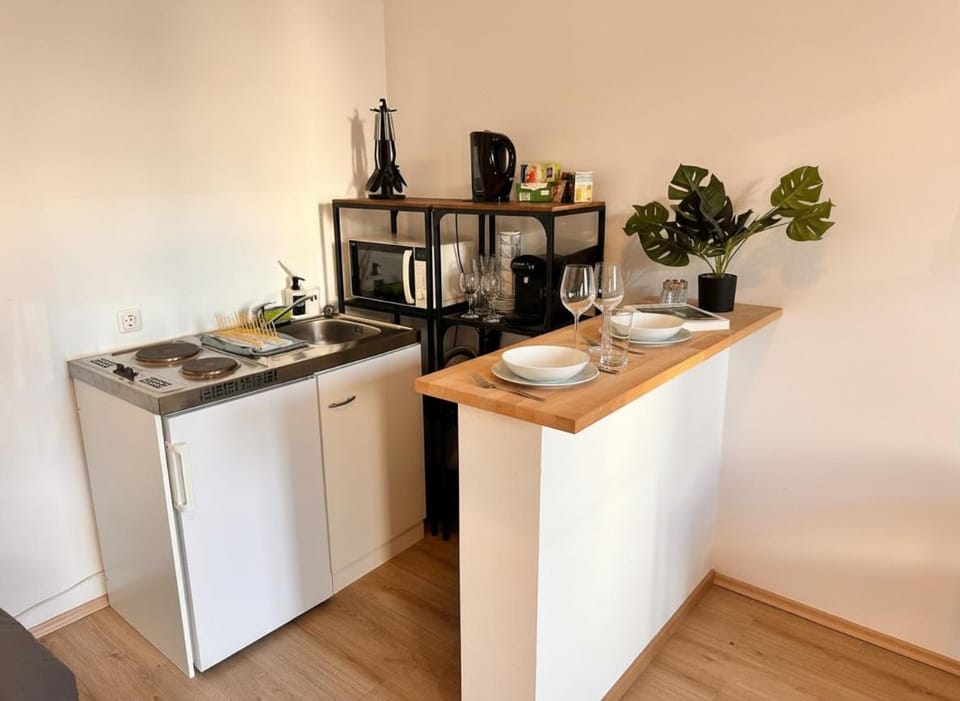 Kitchen or kitchenette, kitchen