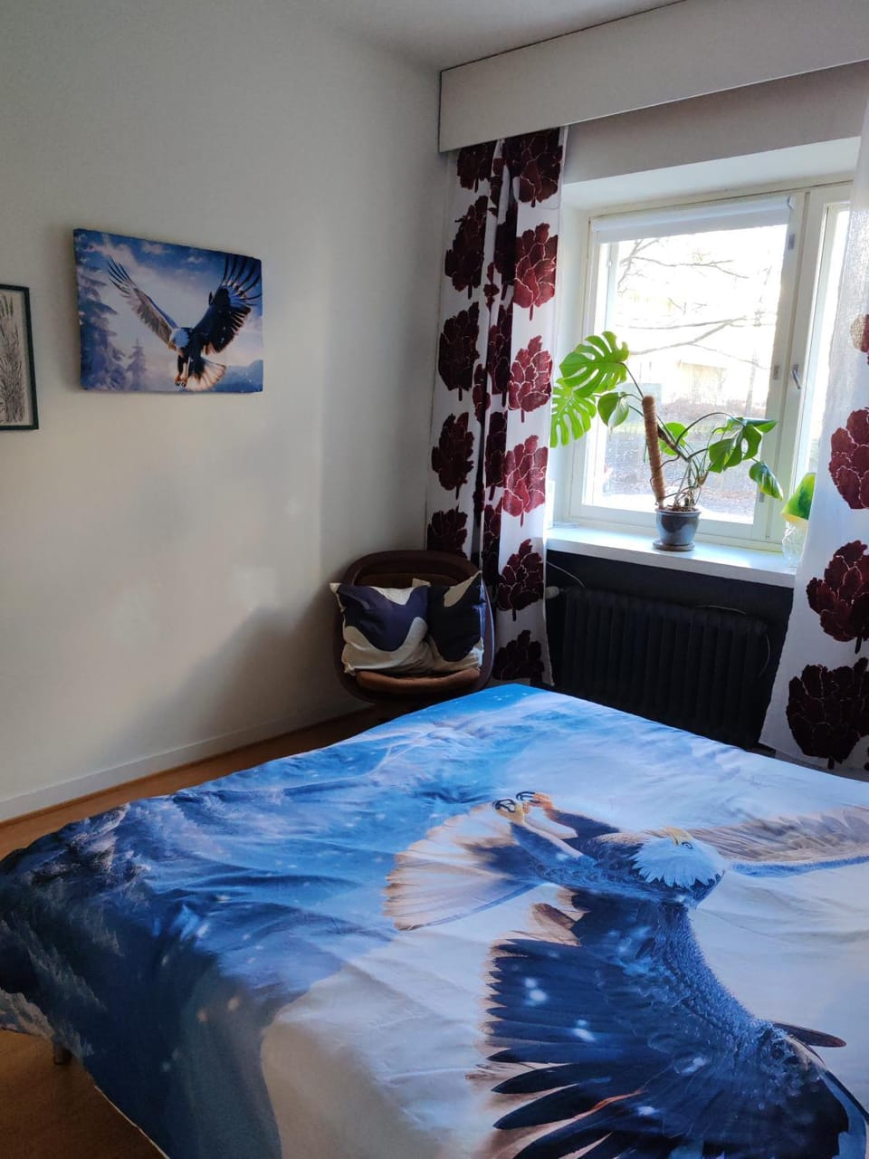 Bed, Photo of the whole room