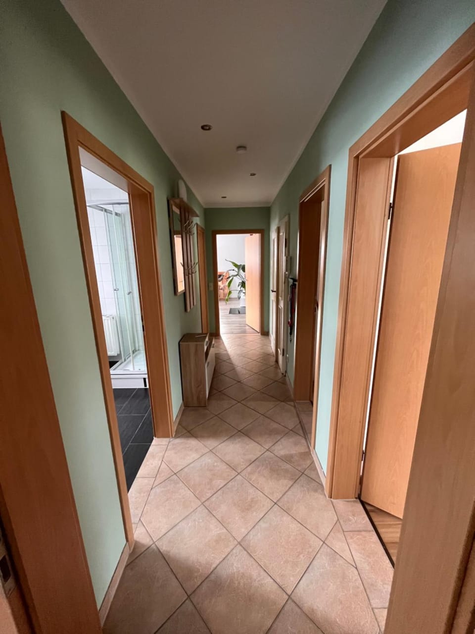 Ferienwohnung Unger Apartment in Erzgebirgskreis