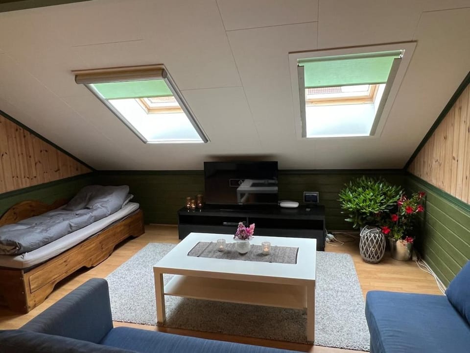 Bed, TV and multimedia, Living room