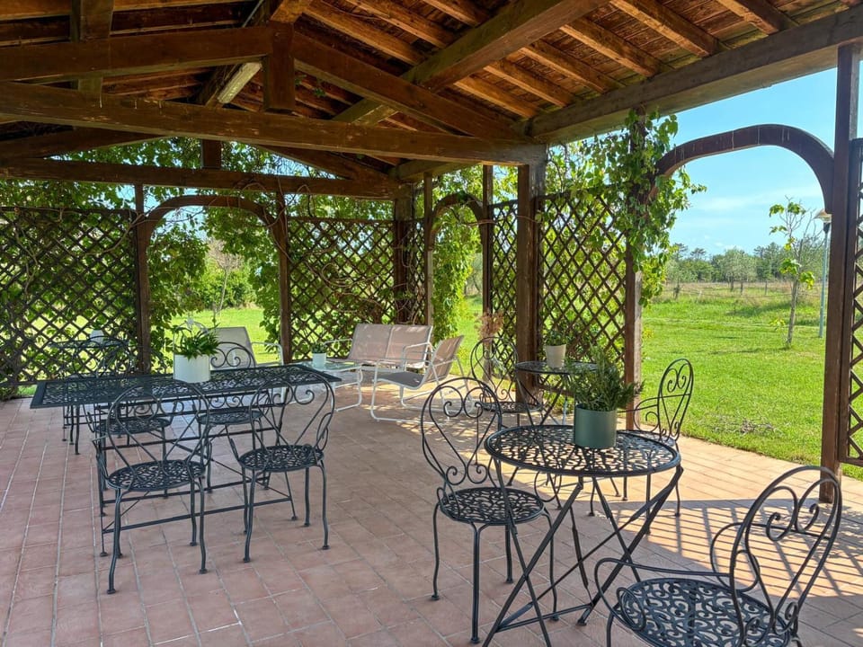 Patio, Garden, Seating area