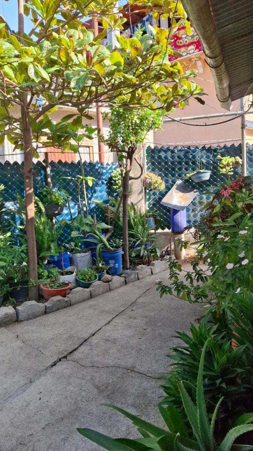 Day, Garden, Garden view