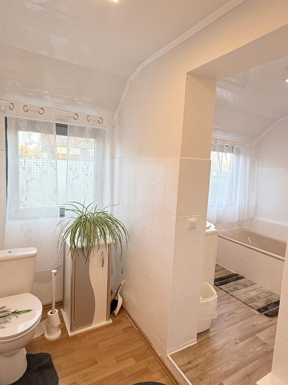 Toilet, Bathroom