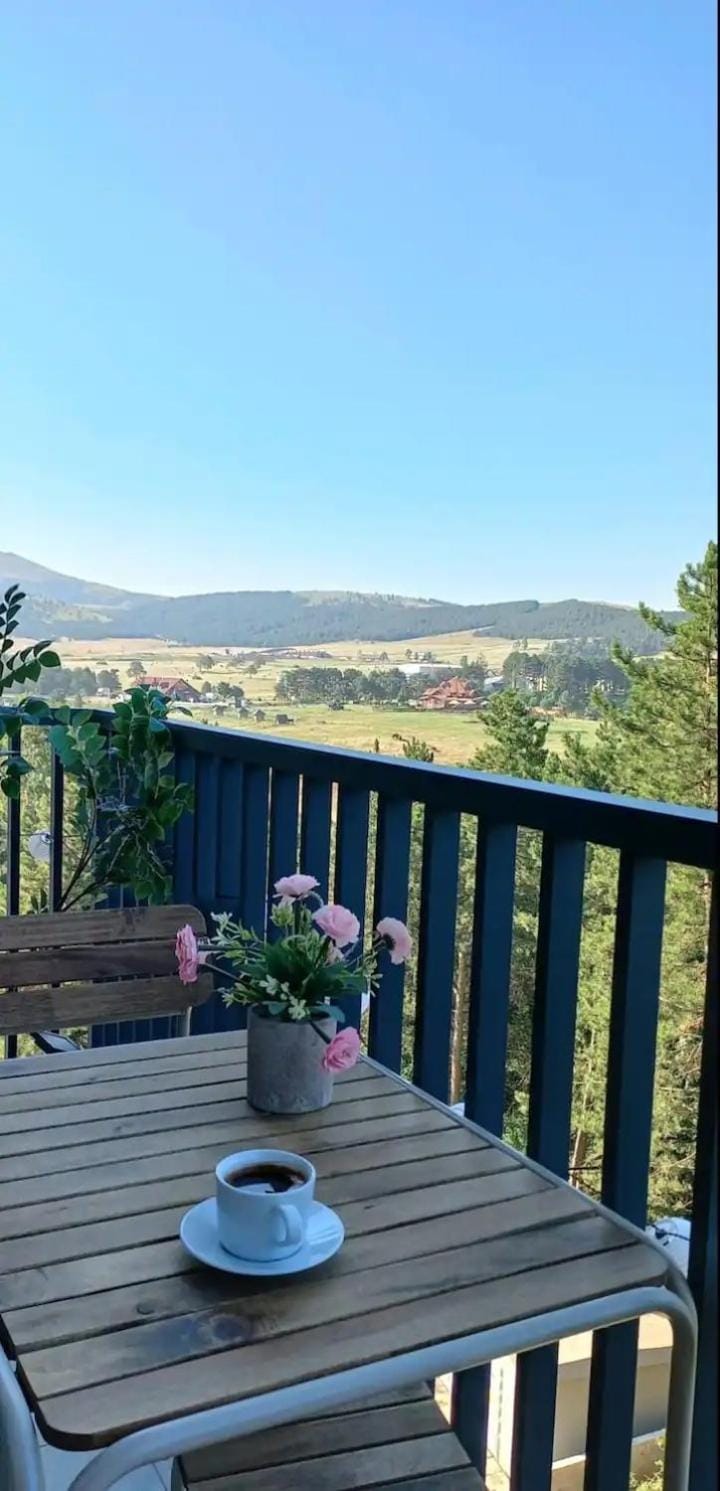 Apartman Panorama Tornik free SPA Apartment in Zlatibor