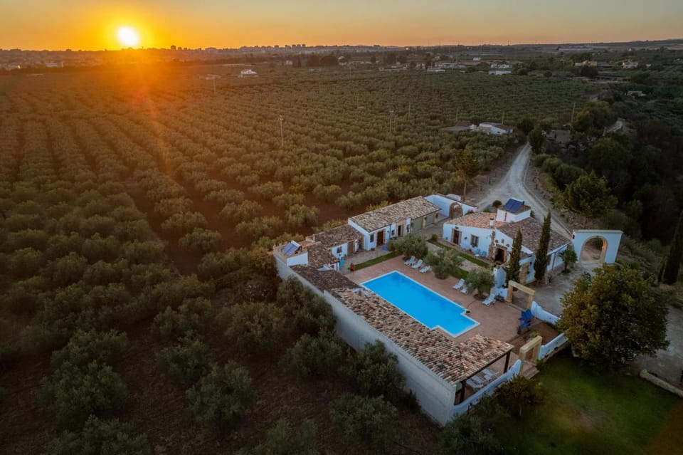 Natural landscape, Bird's eye view, Pool view, Swimming pool, Sunset
