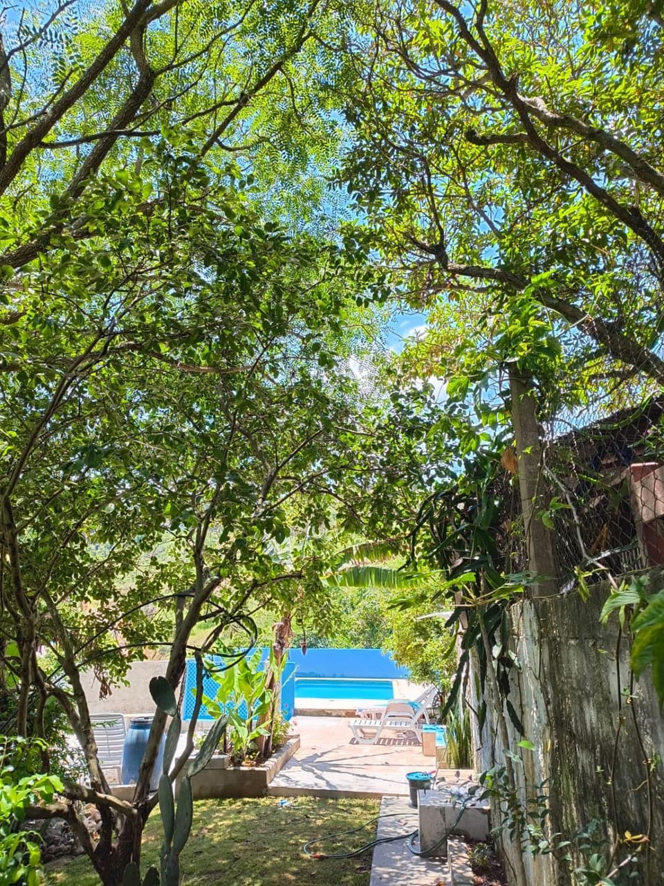 Garden, Garden view, Pool view, Swimming pool