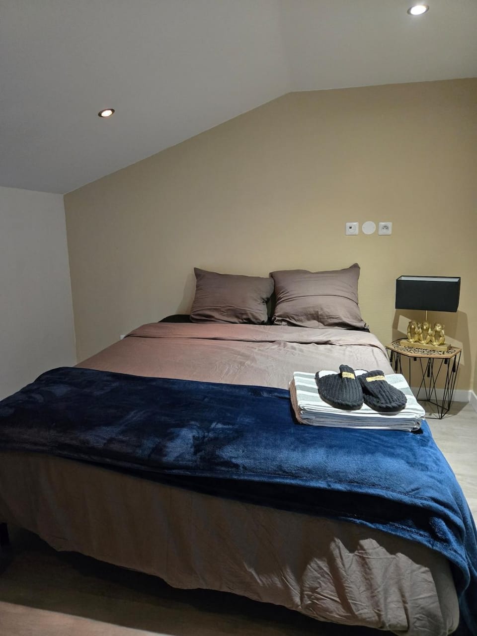 Beautiful 1-bedroom apartment of 70 m2 Chateaucreux Apartment in Saint-Étienne