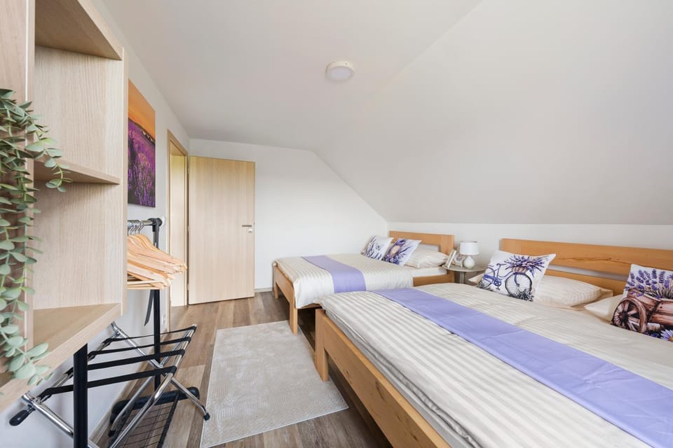 Apartmánky Valtice - Rooms & Whole House, 2-17 guests Apartment in South Moravian Region