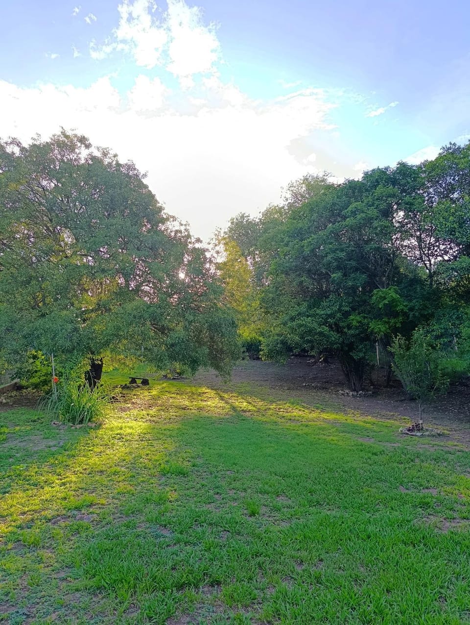 Garden, Garden view
