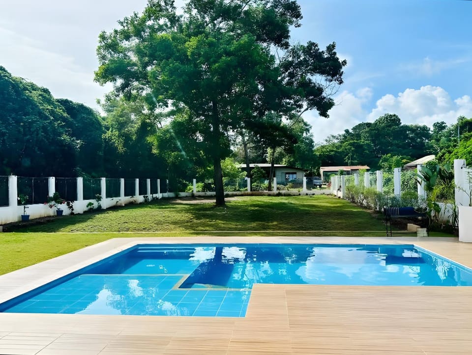 Garden, Swimming pool