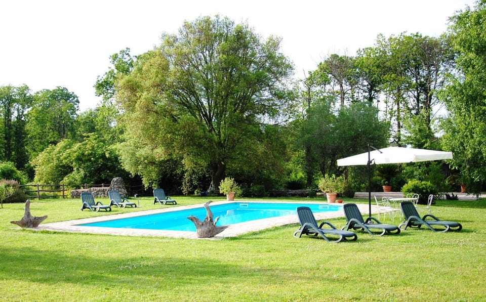 Garden view, Swimming pool, Swimming pool