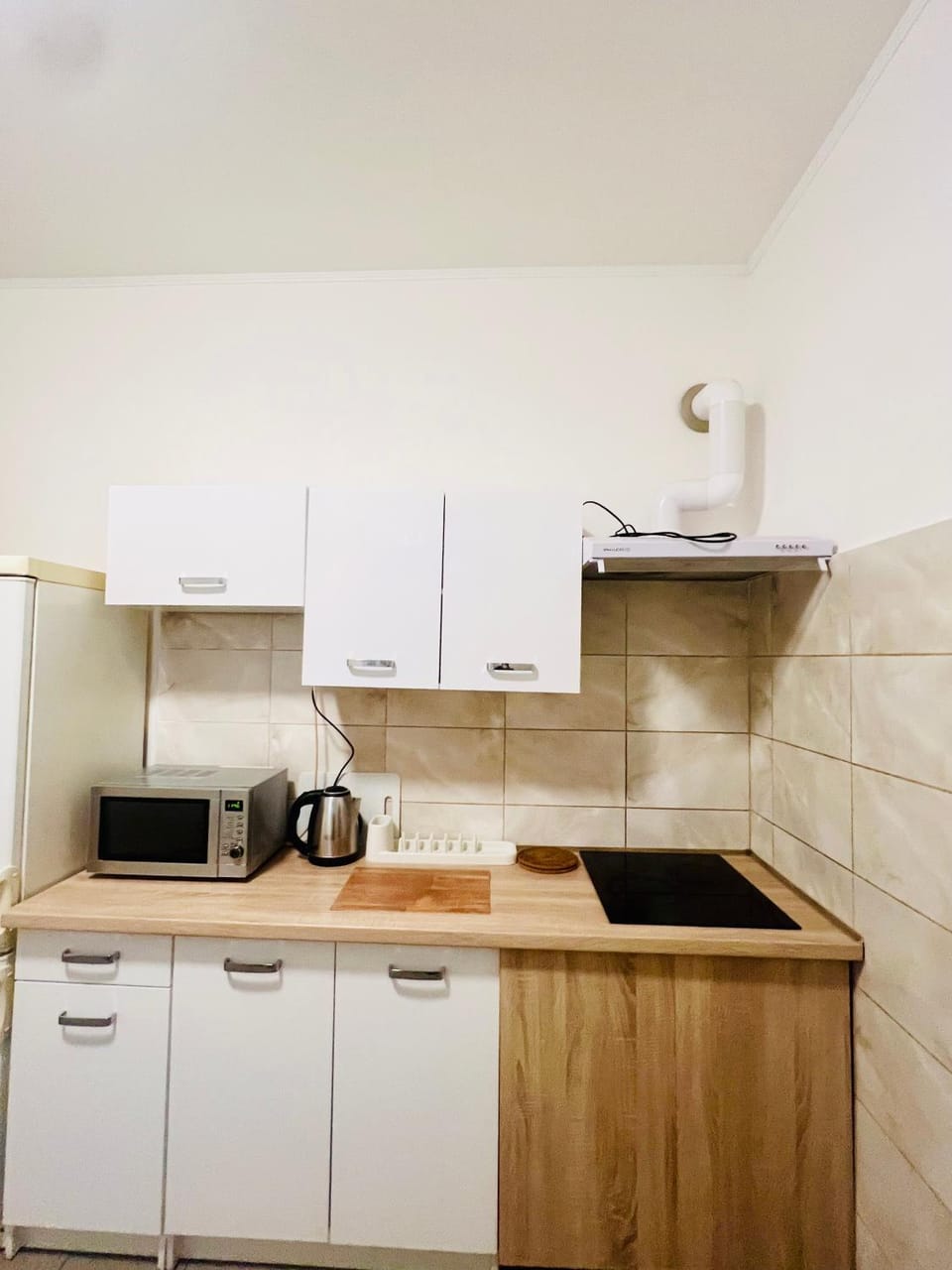 Big apartment in Brandýs nad Labem Apartment in Saxony