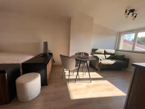 Appartement Le nid sur l'Ain Apartment in Jura
