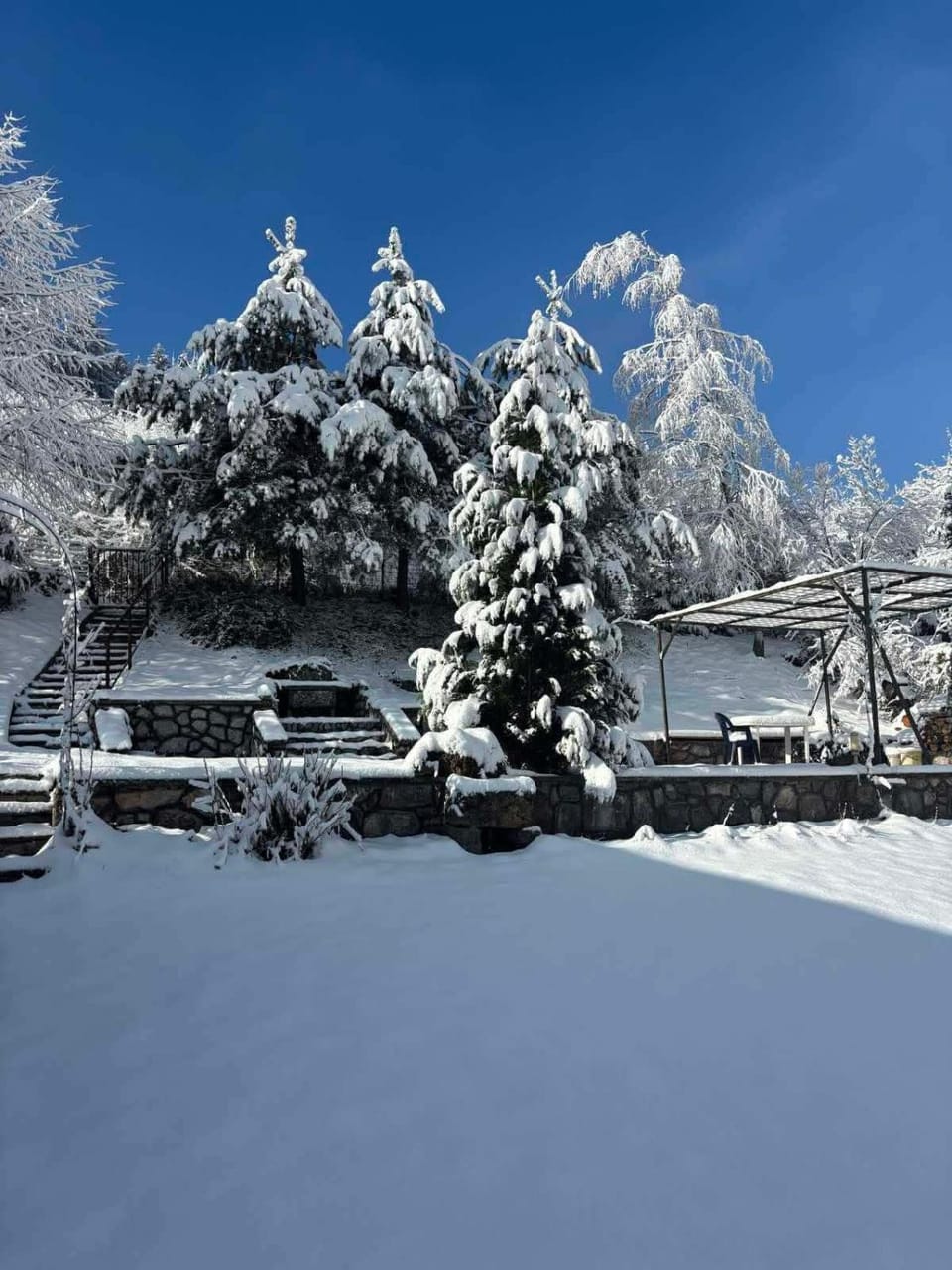 Natural landscape, Winter, Garden